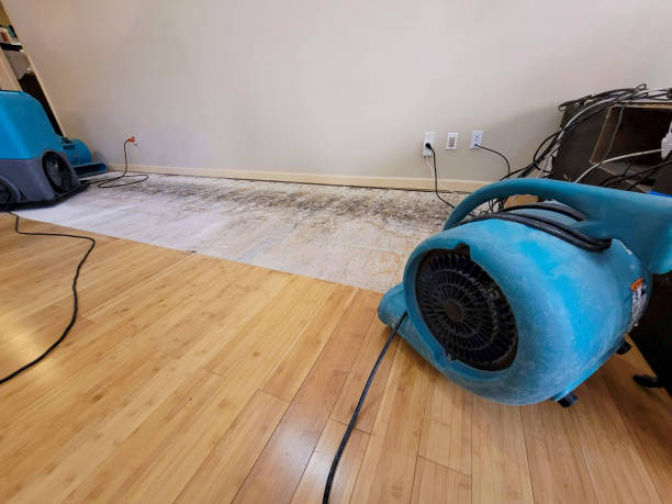 Professional Burst Pipe Water Damage technician working in Central City, PA